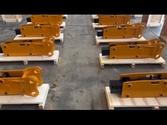 النوع العلوي